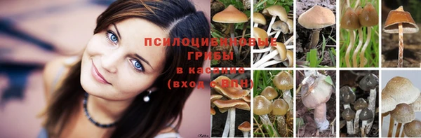 MESCALINE Абдулино